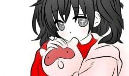 动漫红,燃烧的青春，热血的动漫传奇