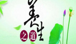 养生之道视频,揭秘健康生活的秘诀